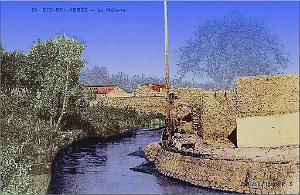 Sidi-bel-abbes 173